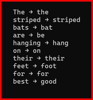 Picture showing the output of lemmatization in spacy